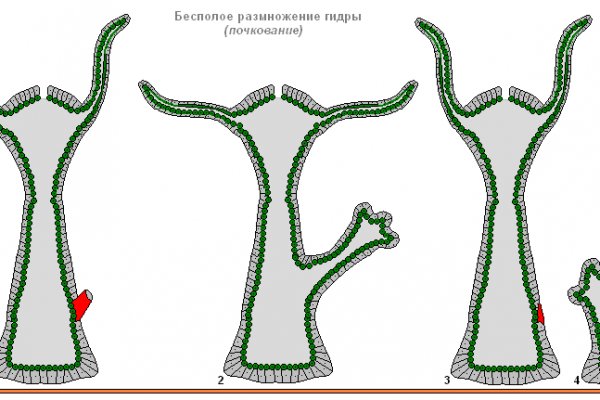 Реальные ссылки кракен