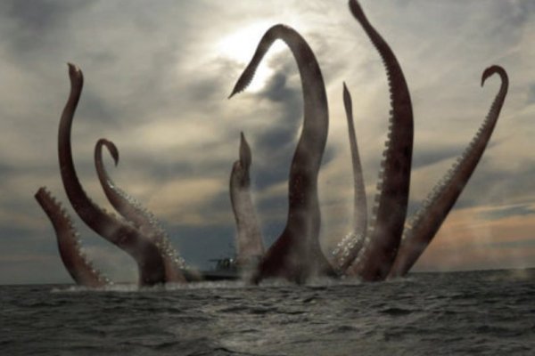 Актуальное зеркало kraken