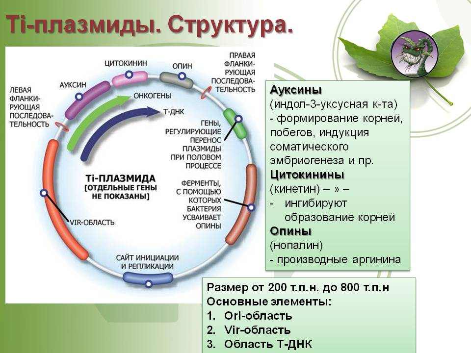 Кракен тор store