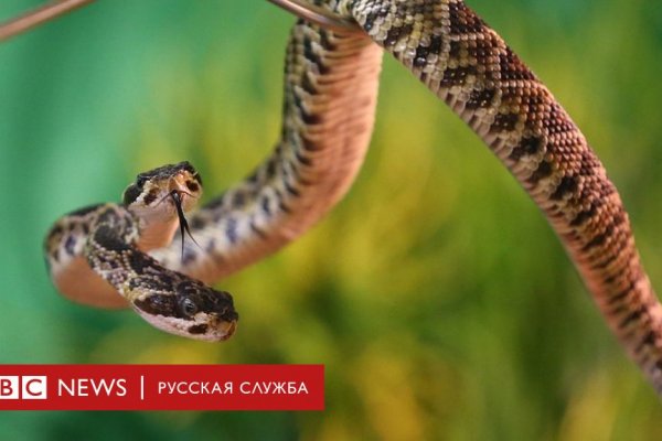 Кракен зайти зеркало